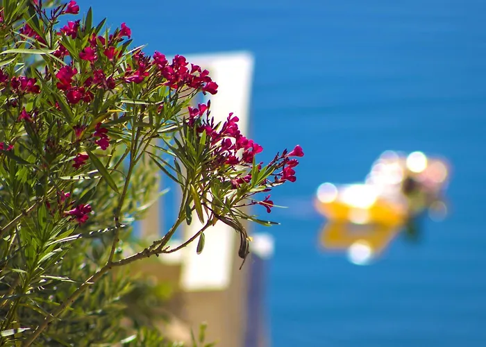 Jasmin *
